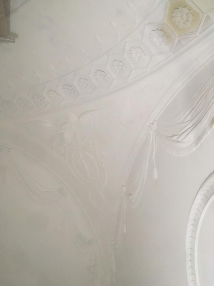 inbound3578540533714457937