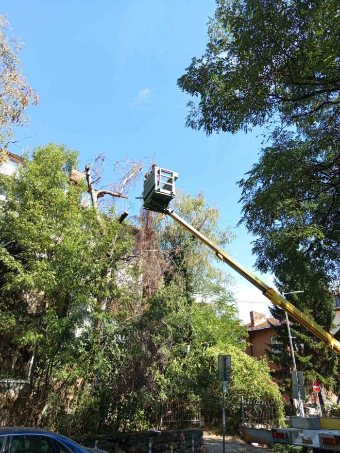 IMG-cfacda3d9c047e5e69470abccd463c17-V