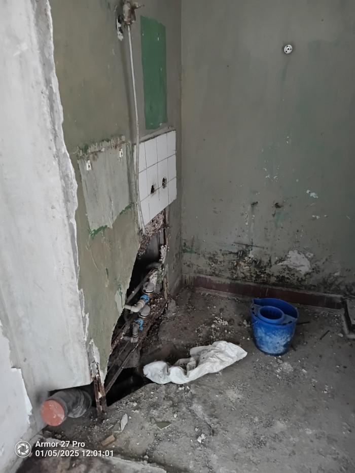 IMG_20250105_120103_037