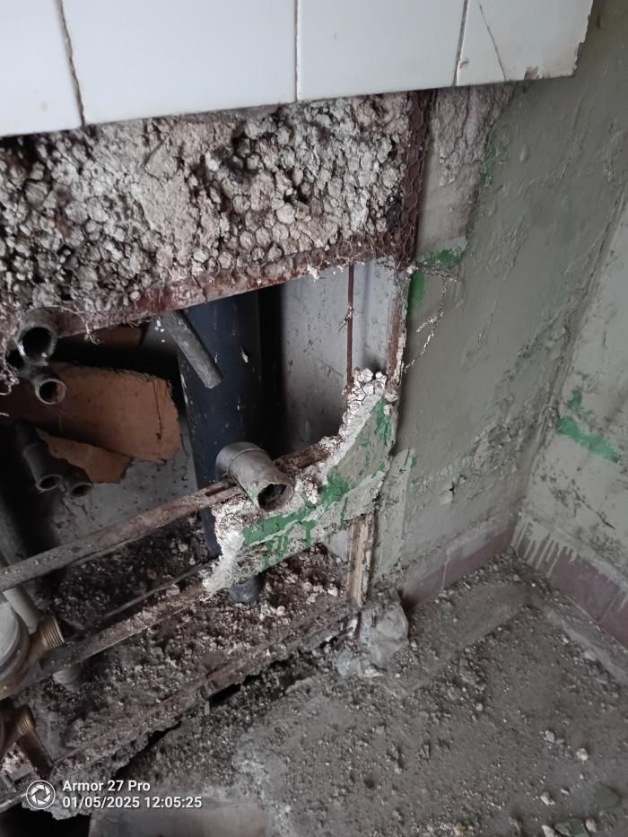 IMG_20250105_120526_818