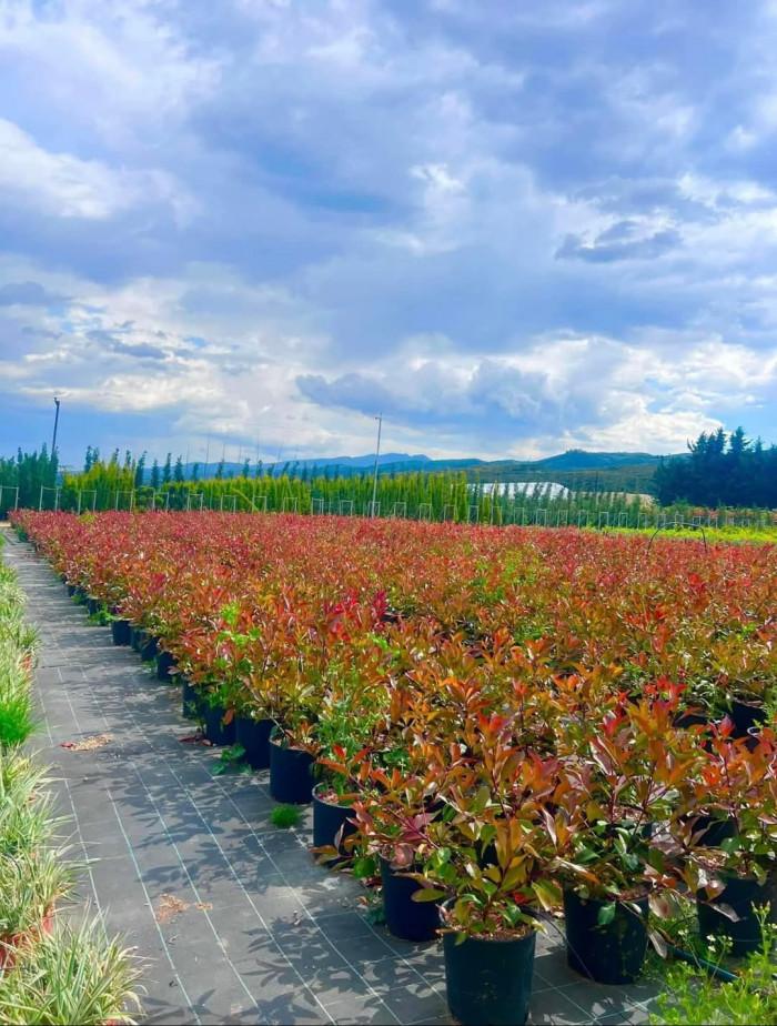 FB_IMG_1745410969208