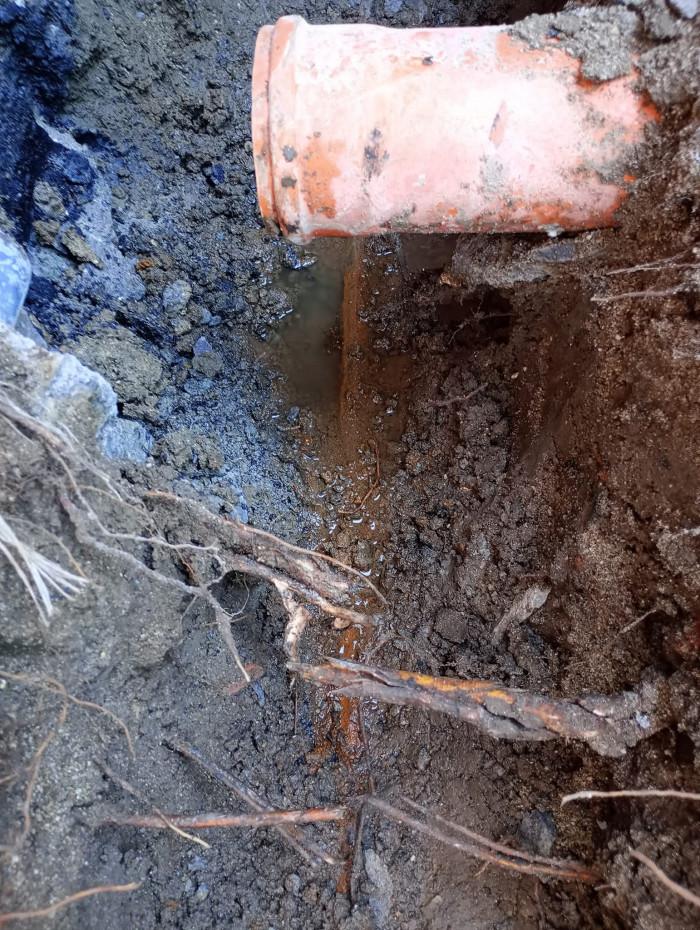 FB_IMG_1774366007461