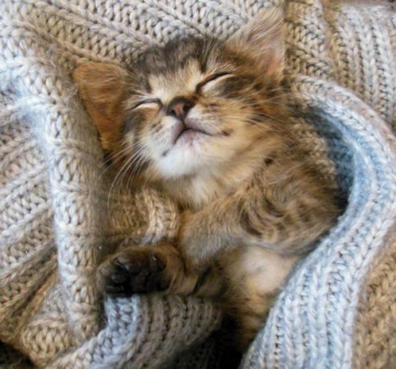 Мисия с повишена трудност