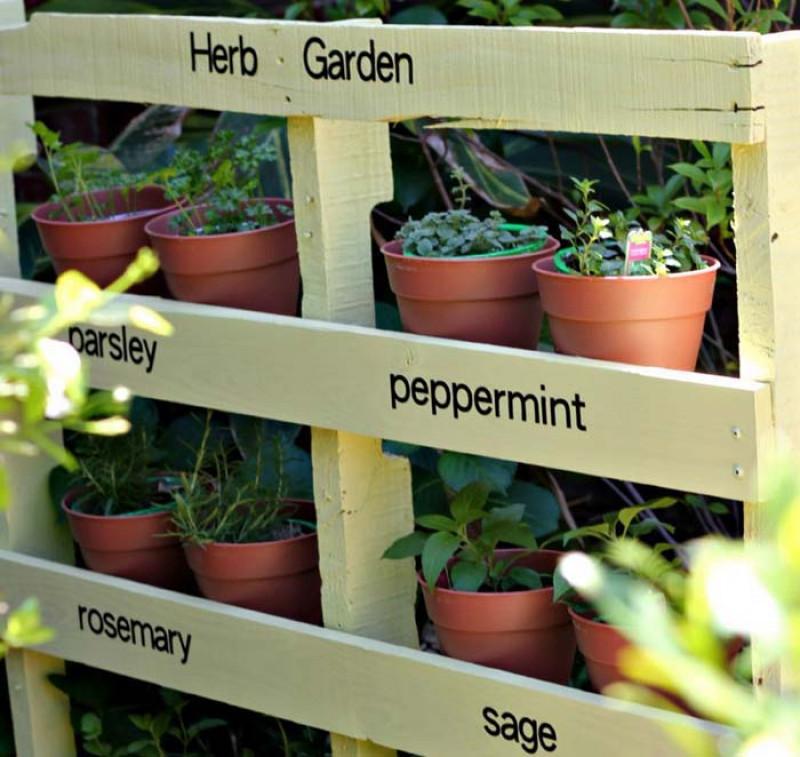 Вертикална градина