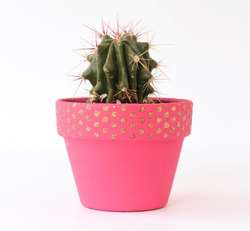 Звезден дъждец върху саксии