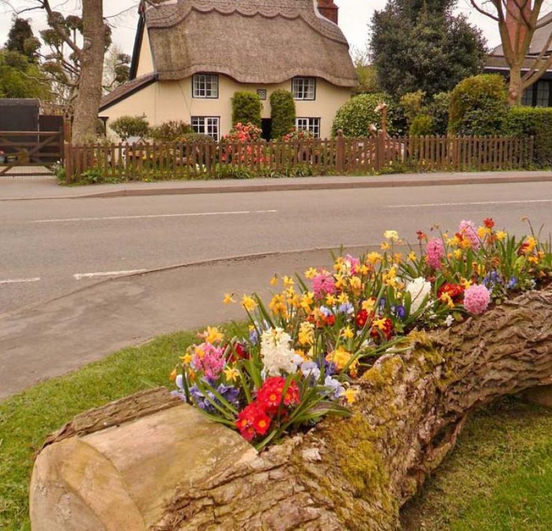 Идейна хрумка за градината и двора