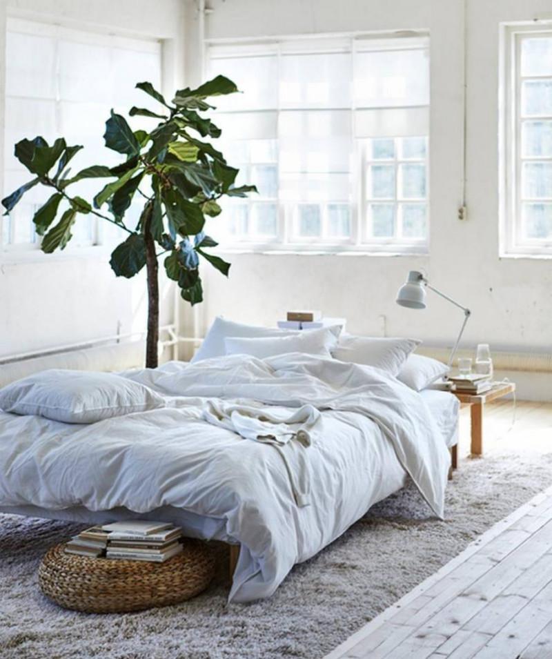 Централно място заема килимът