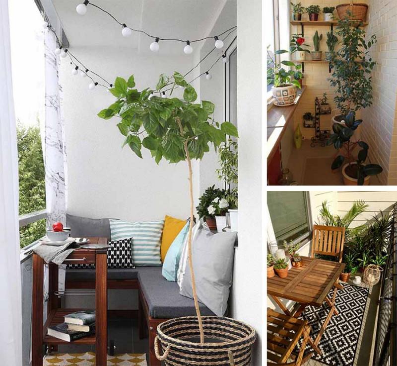 Градина на балкона