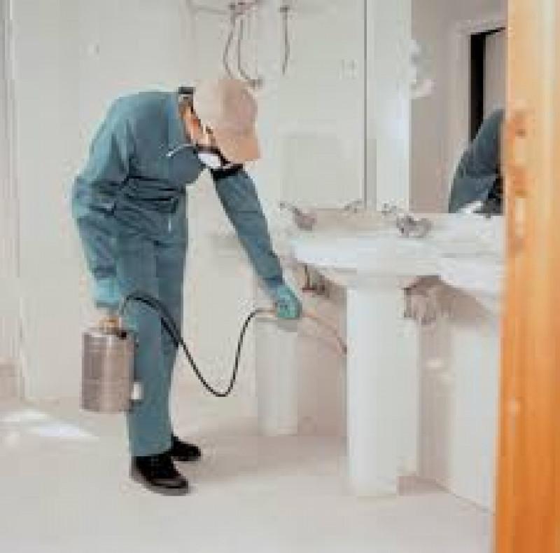 Снимка  от Николай Спасов