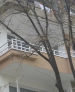 Снимка  от Тихомир Атанасов