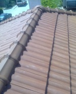 Снимка  от Методи Славчев