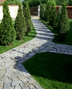 Снимка  от Атанас Китов