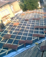 Снимка  от Петър Илиев