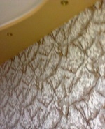 Снимка  от Методи Бачев