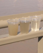 Снимка  от ЕИС ООД Димитров