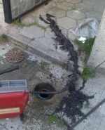 Снимка  от Иван Генчев