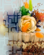 Снимка  от Иво Немцов