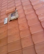 Снимка  от Христо Димитров