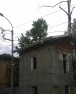 Снимка  от Иван Ценов