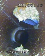 Снимка  от Димитър Димитров