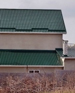 Профилна снимка - римен петров