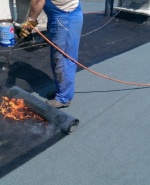 label.cover - Давид Траянов