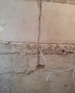 122813741_974983826244848_1358519925036851089_n