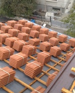 Профилна снимка - Траян Василев