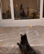 Профилна снимка - Светослав Цветанов