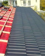 FB_IMG_1613836836934