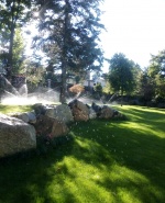 Профилна снимка - Мирослав Лазаров