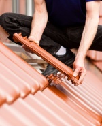 label.cover - Ицко Димчев