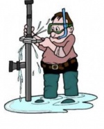 label.cover - Боро Василев