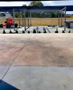 label.cover - Христо Урджанов