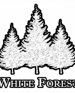 label.cover - Симеон Несторов