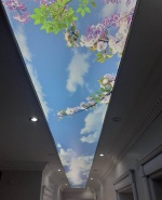 label.cover - Тома Тураноглу