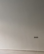 3678797A-50E5-4CEF-81BA-99E10057F19A