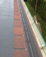 FB_IMG_1703170838461