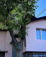 label.cover - Михаил Курдогло