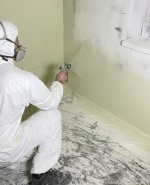 label.cover - Даниел Тенев