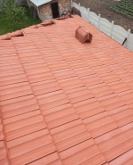 Профилна снимка - Мария Димитрова