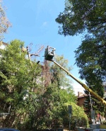 label.cover - Григор Илиев