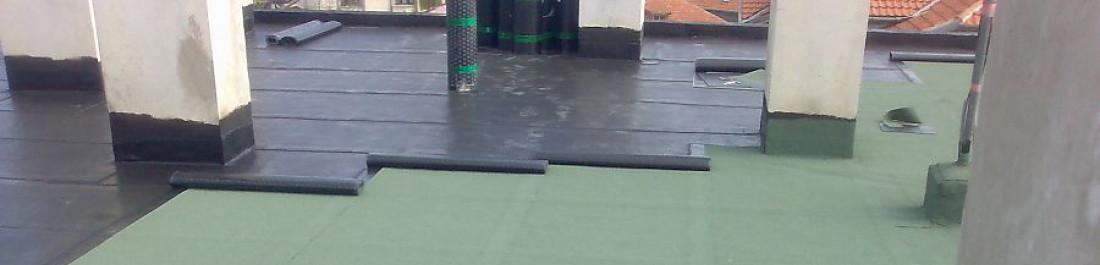 label.cover - Колю Жеков