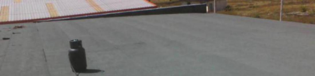 Снимка  от Traiko Iliev