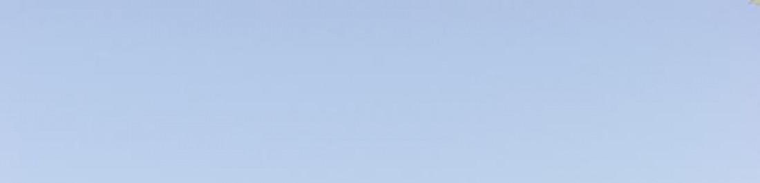 Снимка  от Стоян Ковачев