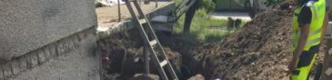 Снимка  от Александър Димитров