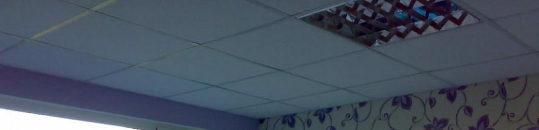 Снимка  от Ивайло Тодоров