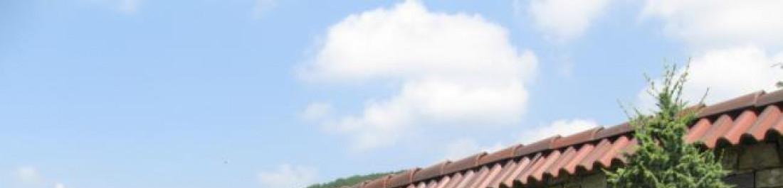 Снимка  от velina simeonova