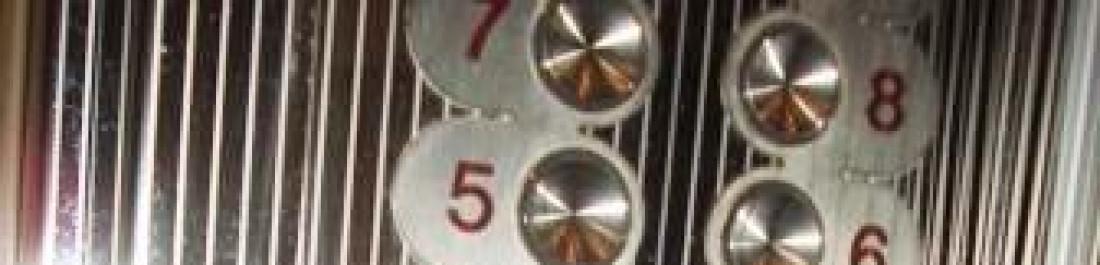 Снимка  от Олга Георгиева