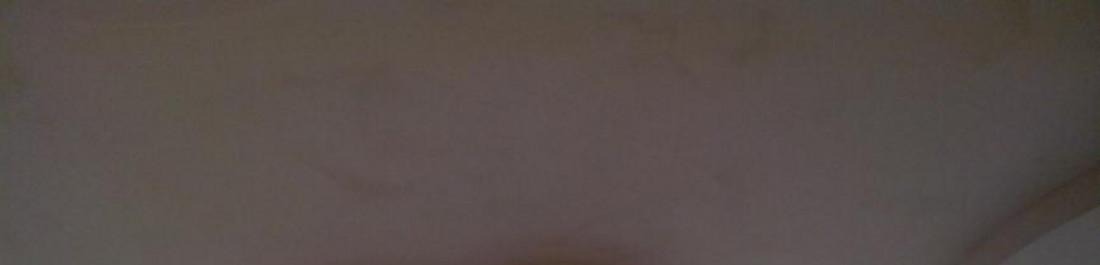 Снимка  от Петър Джамбазов